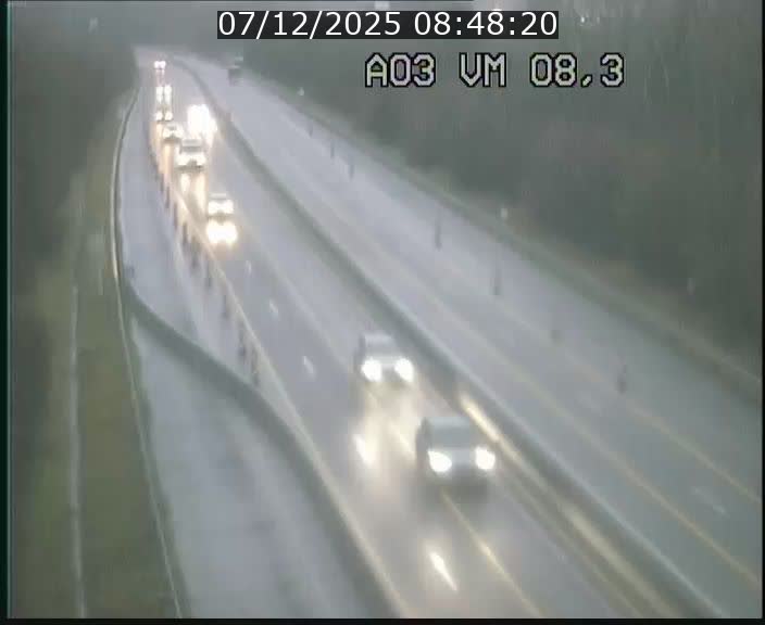 <h2>Traffic live webcam Luxembourg Bettembourg - A3 - BK 8.3 - direction France</h2>