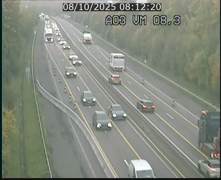<h2>Traffic live webcam Luxembourg Bettembourg - A3 - BK 8.3 - direction France</h2>