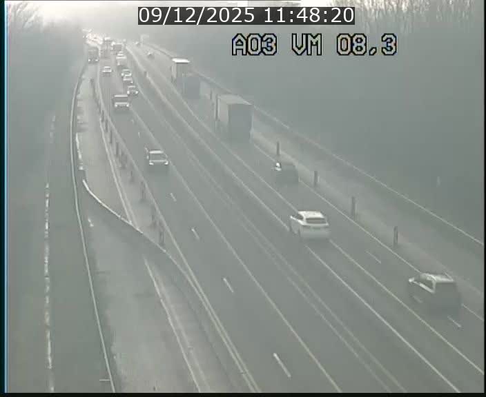 <h2>Traffic live webcam Luxembourg Bettembourg - A3 - BK 8.3 - direction France</h2>