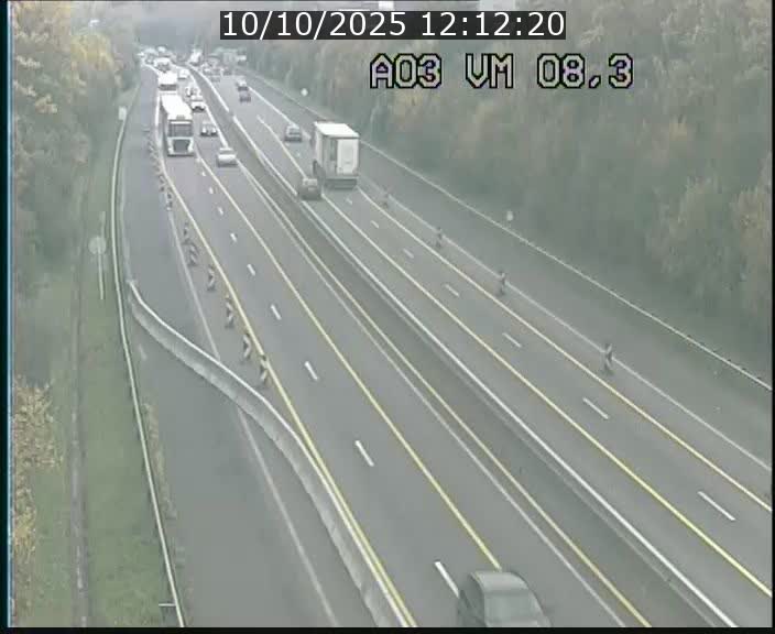 <h2>Traffic live webcam Luxembourg Bettembourg - A3 - BK 8.3 - direction France</h2>