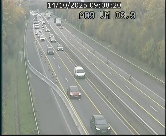 <h2>Traffic live webcam Luxembourg Bettembourg - A3 - BK 8.3 - direction France</h2>