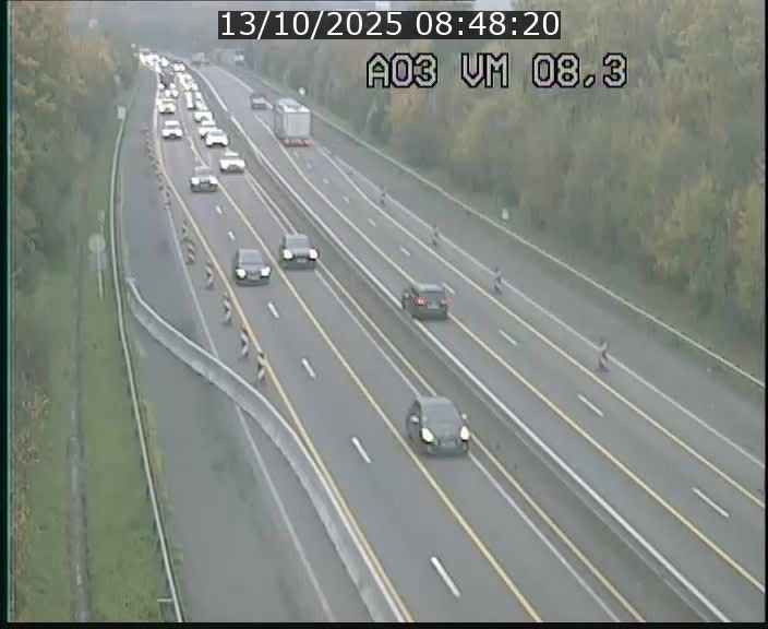 <h2>Traffic live webcam Luxembourg Bettembourg - A3 - BK 8.3 - direction France</h2>