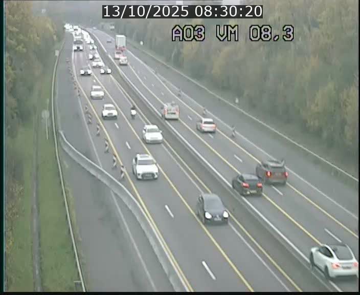 <h2>Traffic live webcam Luxembourg Bettembourg - A3 - BK 8.3 - direction France</h2>