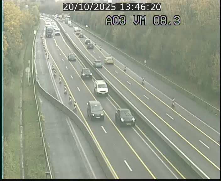 <h2>Traffic live webcam Luxembourg Bettembourg - A3 - BK 8.3 - direction France</h2>