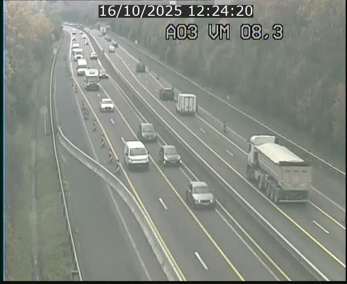 <h2>Traffic live webcam Luxembourg Bettembourg - A3 - BK 8.3 - direction France</h2>