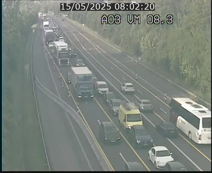 <h2>Traffic live webcam Luxembourg Bettembourg - A3 - BK 8.3 - direction France</h2>