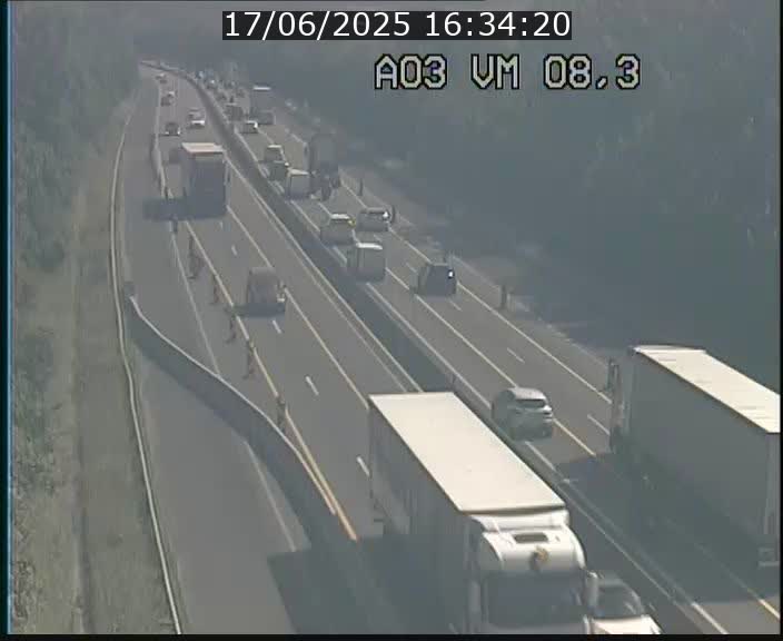 <h2>Traffic live webcam Luxembourg Bettembourg - A3 - BK 8.3 - direction France</h2>