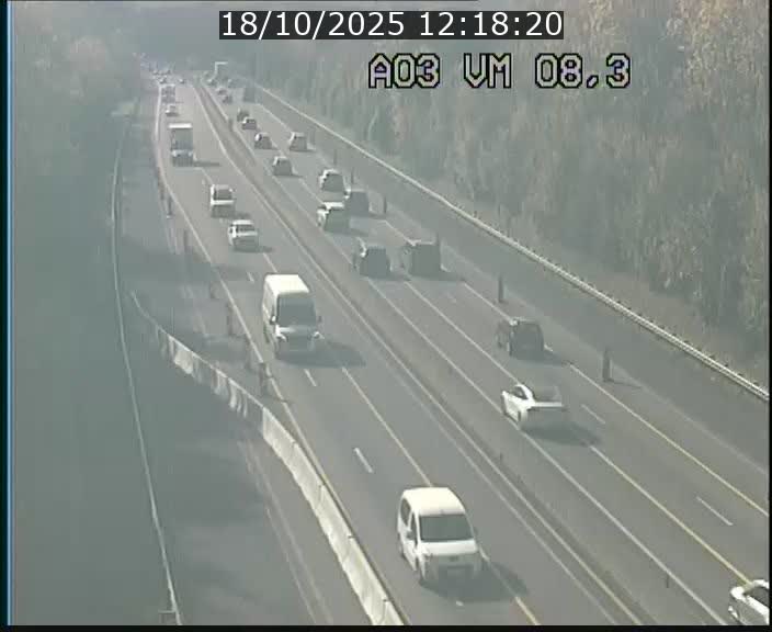 <h2>Traffic live webcam Luxembourg Bettembourg - A3 - BK 8.3 - direction France</h2>