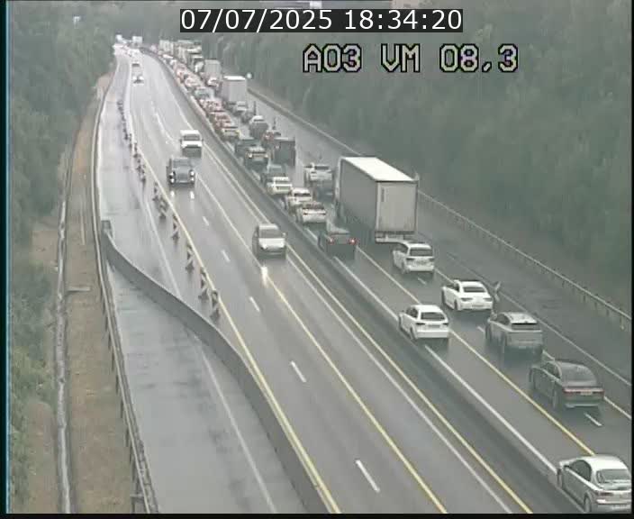 Traffic live webcam Luxembourg Bettembourg - A3 - BK 8.3 - direction France