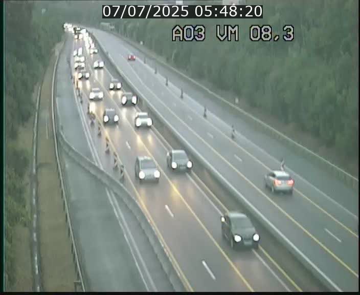 Traffic live webcam Luxembourg Bettembourg - A3 - BK 8.3 - direction France