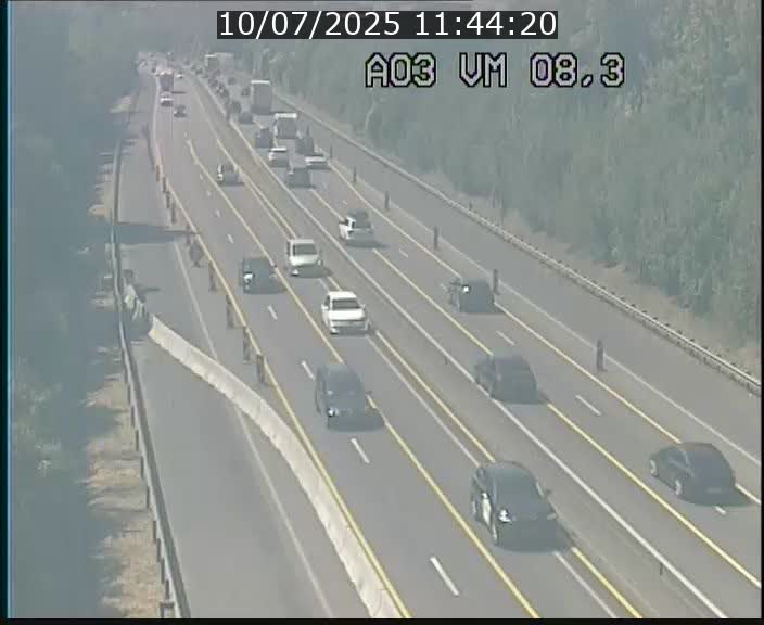 Traffic live webcam Luxembourg Bettembourg - A3 - BK 8.3 - direction France
