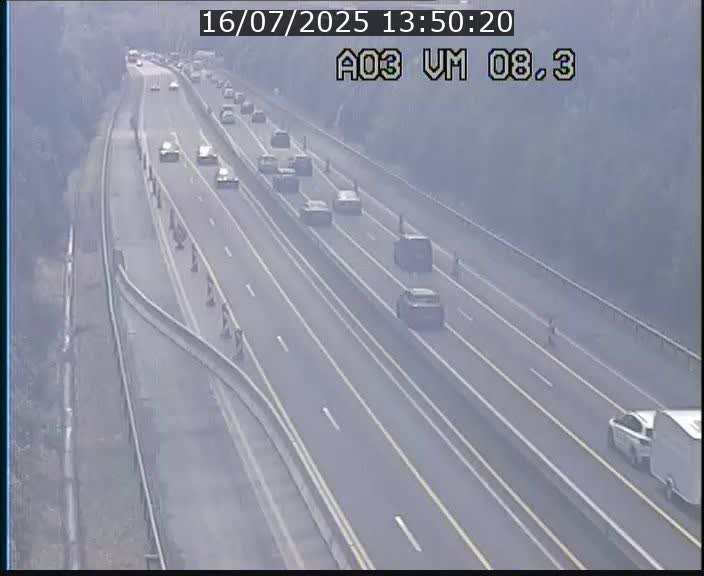 Traffic live webcam Luxembourg Bettembourg - A3 - BK 8.3 - direction France