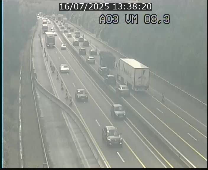 Traffic live webcam Luxembourg Bettembourg - A3 - BK 8.3 - direction France