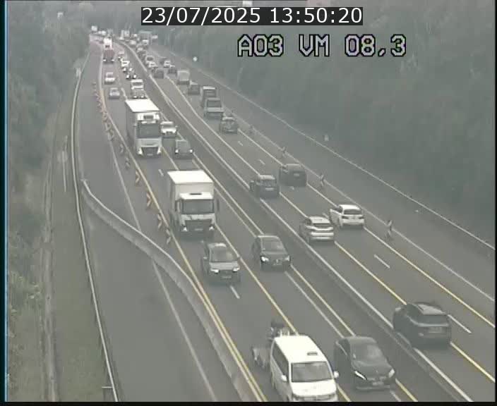 Traffic live webcam Luxembourg Bettembourg - A3 - BK 8.3 - direction France