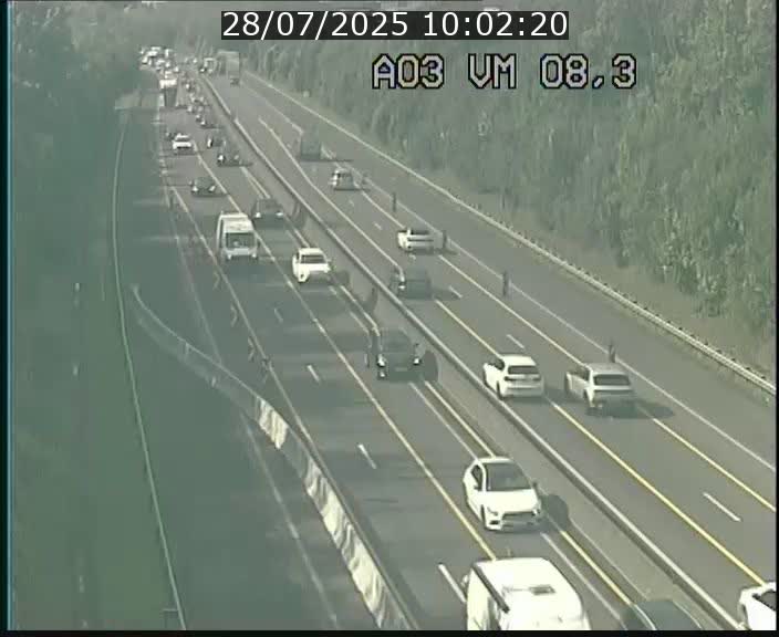 Traffic live webcam Luxembourg Bettembourg - A3 - BK 8.3 - direction France