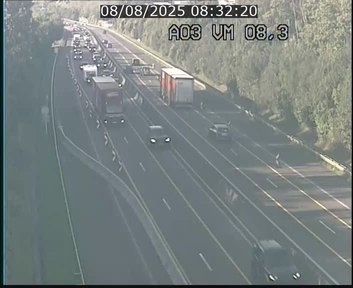 Traffic live webcam Luxembourg Bettembourg - A3 - BK 8.3 - direction France