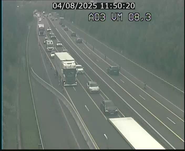 Traffic live webcam Luxembourg Bettembourg - A3 - BK 8.3 - direction France