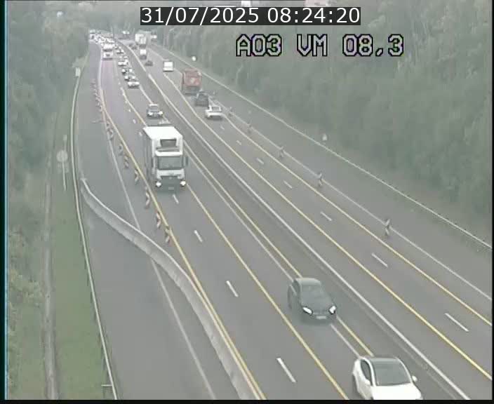 Traffic live webcam Luxembourg Bettembourg - A3 - BK 8.3 - direction France