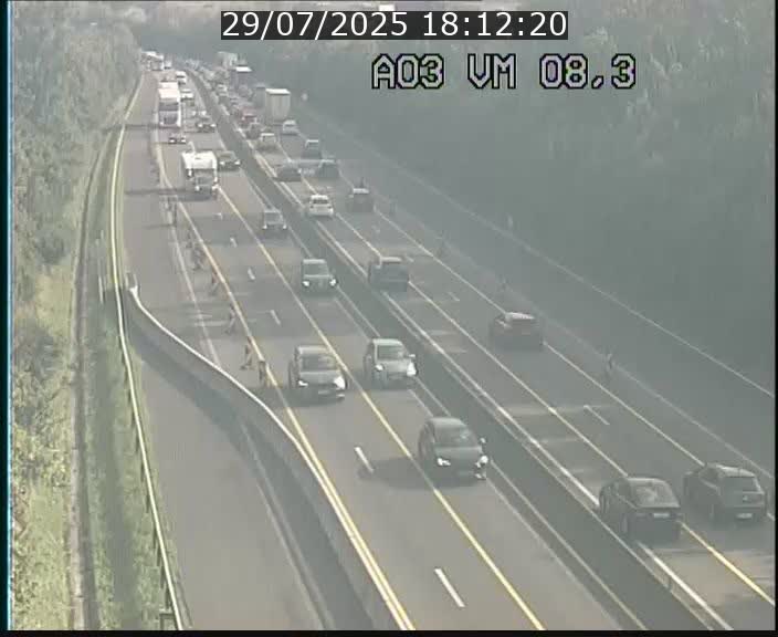 Traffic live webcam Luxembourg Bettembourg - A3 - BK 8.3 - direction France