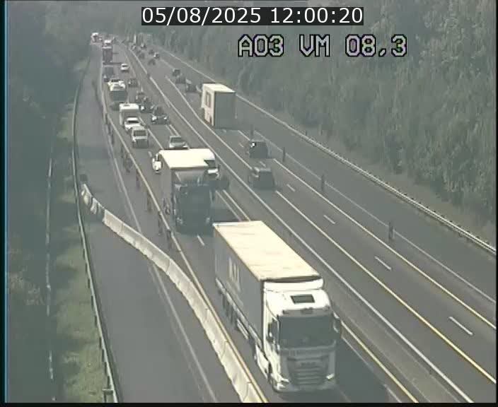 Traffic live webcam Luxembourg Bettembourg - A3 - BK 8.3 - direction France