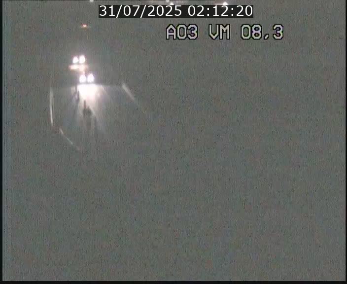 Traffic live webcam Luxembourg Bettembourg - A3 - BK 8.3 - direction France