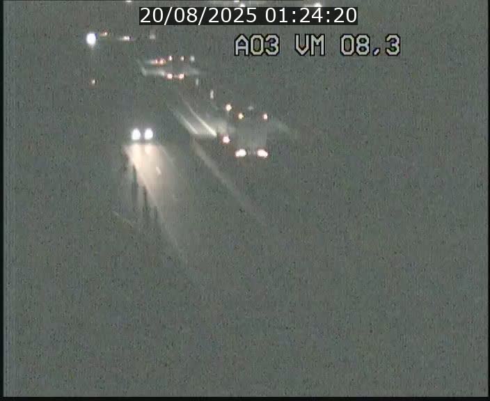 Traffic live webcam Luxembourg Bettembourg - A3 - BK 8.3 - direction France
