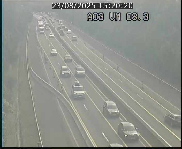 Traffic live webcam Luxembourg Bettembourg - A3 - BK 8.3 - direction France