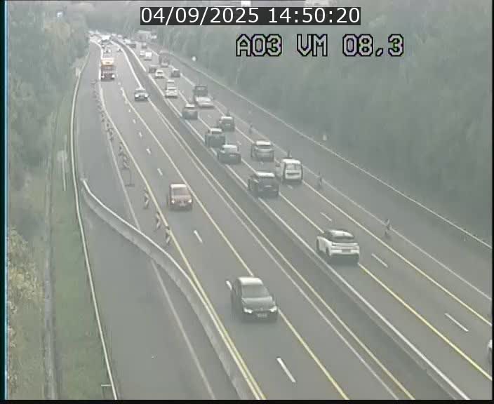 Traffic live webcam Luxembourg Bettembourg - A3 - BK 8.3 - direction France