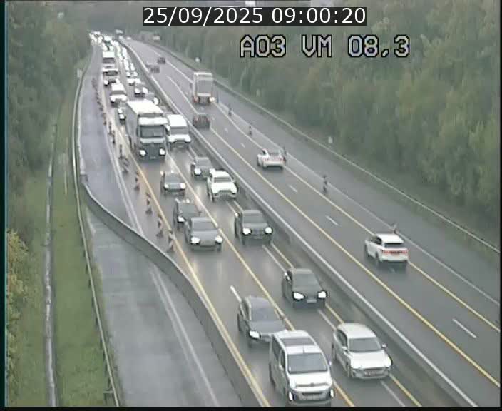 Traffic live webcam Luxembourg Bettembourg - A3 - BK 8.3 - direction France