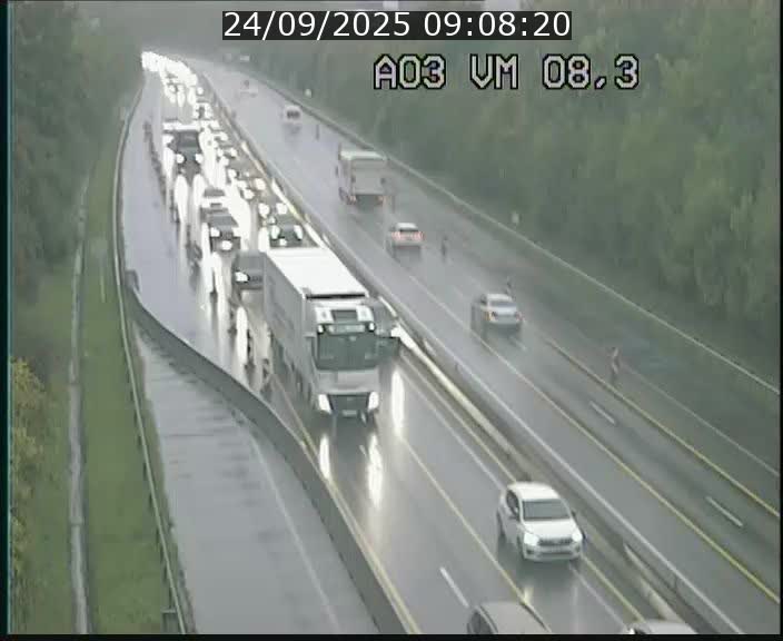 Traffic live webcam Luxembourg Bettembourg - A3 - BK 8.3 - direction France