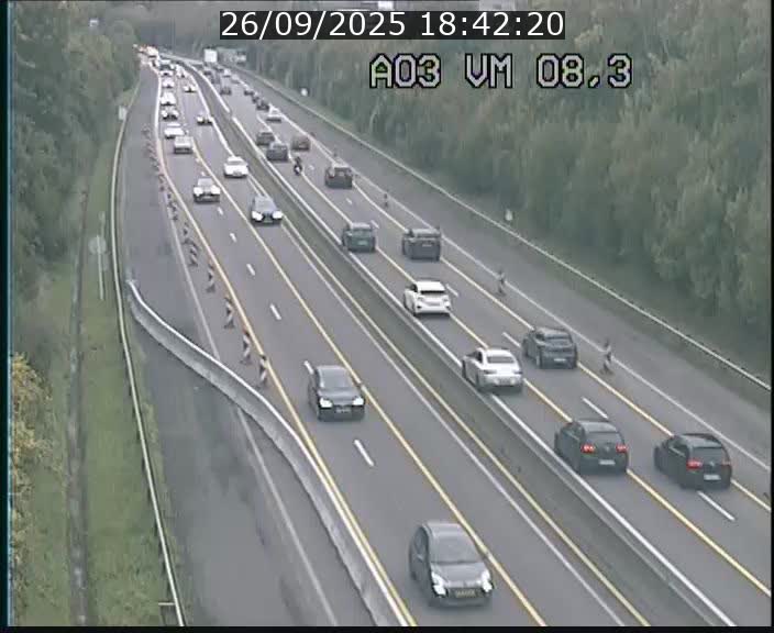 Traffic live webcam Luxembourg Bettembourg - A3 - BK 8.3 - direction France