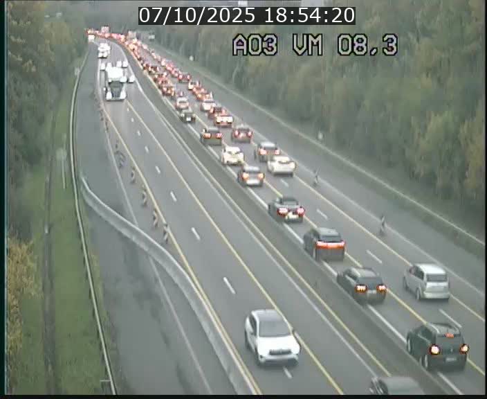Traffic live webcam Luxembourg Bettembourg - A3 - BK 8.3 - direction France