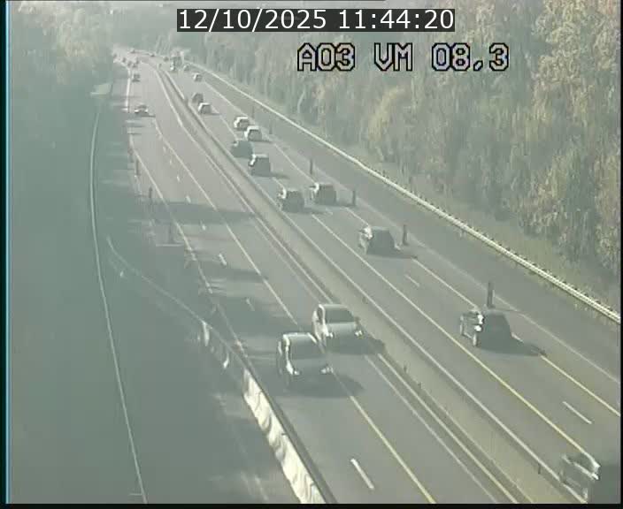 Traffic live webcam Luxembourg Bettembourg - A3 - BK 8.3 - direction France