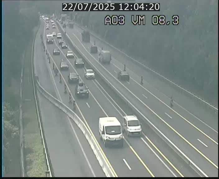 <h2>Traffic live webcam Luxembourg Bettembourg - A3 - BK 8.3 - direction France</h2>