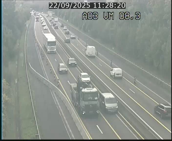 <h2>Traffic live webcam Luxembourg Bettembourg - A3 - BK 8.3 - direction France</h2>