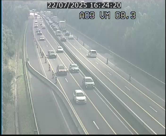 <h2>Traffic live webcam Luxembourg Bettembourg - A3 - BK 8.3 - direction France</h2>