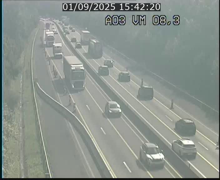 <h2>Traffic live webcam Luxembourg Bettembourg - A3 - BK 8.3 - direction France</h2>