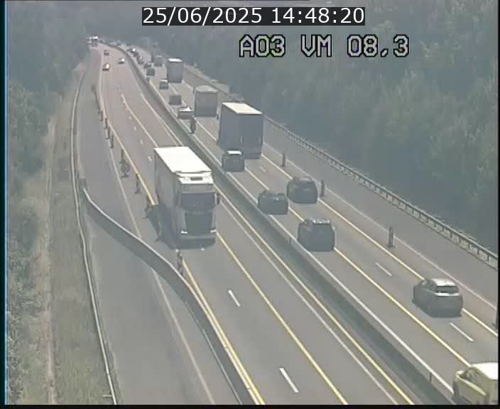 <h2>Traffic live webcam Luxembourg Bettembourg - A3 - BK 8.3 - direction France</h2>
