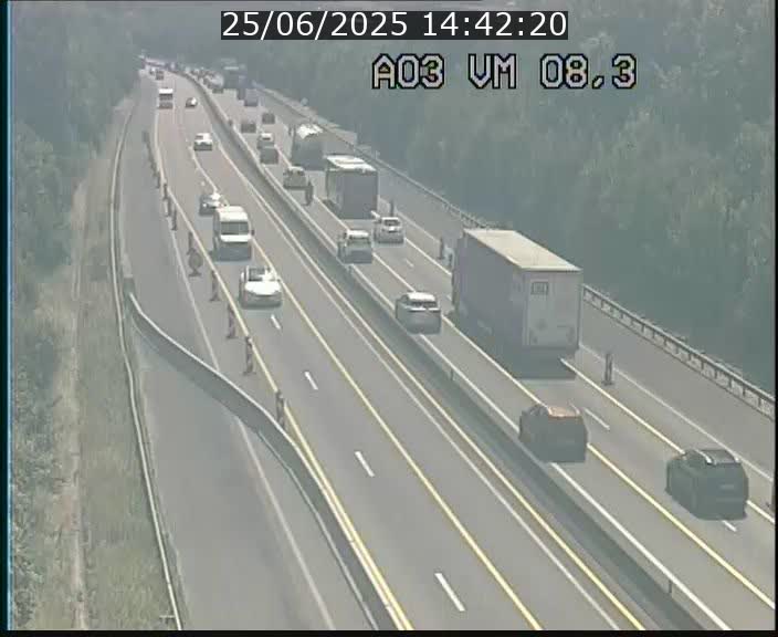 <h2>Traffic live webcam Luxembourg Bettembourg - A3 - BK 8.3 - direction France</h2>
