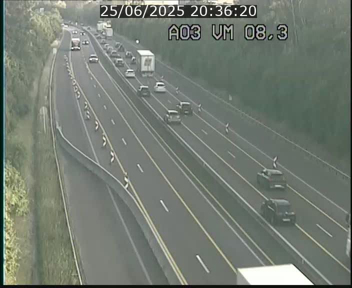 <h2>Traffic live webcam Luxembourg Bettembourg - A3 - BK 8.3 - direction France</h2>