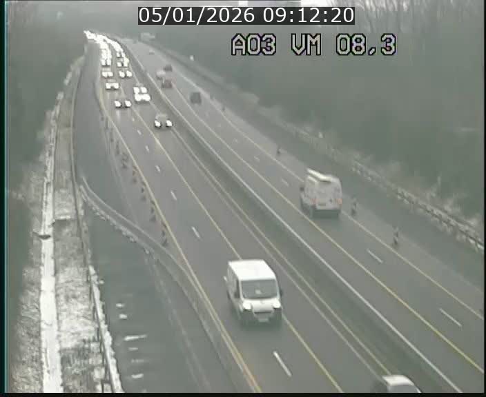 Traffic live webcam Luxembourg Bettembourg - A3 - BK 8.3 - direction France