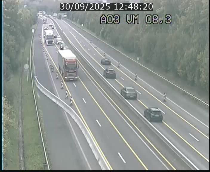 <h2>Traffic live webcam Luxembourg Bettembourg - A3 - BK 8.3 - direction France</h2>