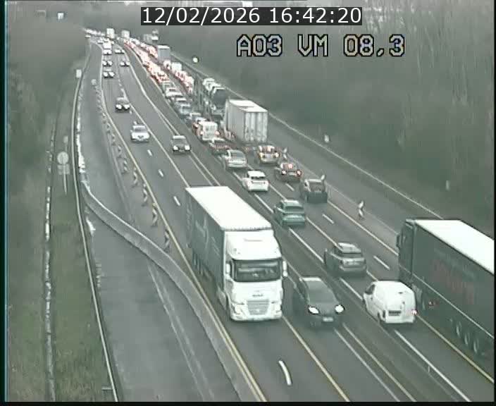 <h2>Traffic live webcam Luxembourg Bettembourg - A3 - BK 8.3 - direction France</h2>