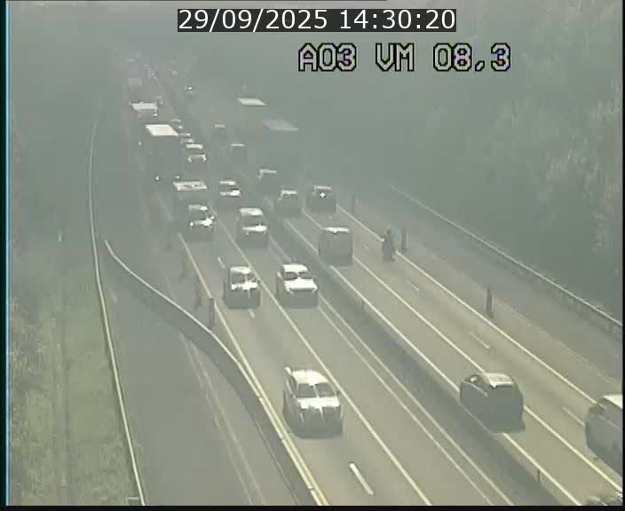 <h2>Traffic live webcam Luxembourg Bettembourg - A3 - BK 8.3 - direction France</h2>