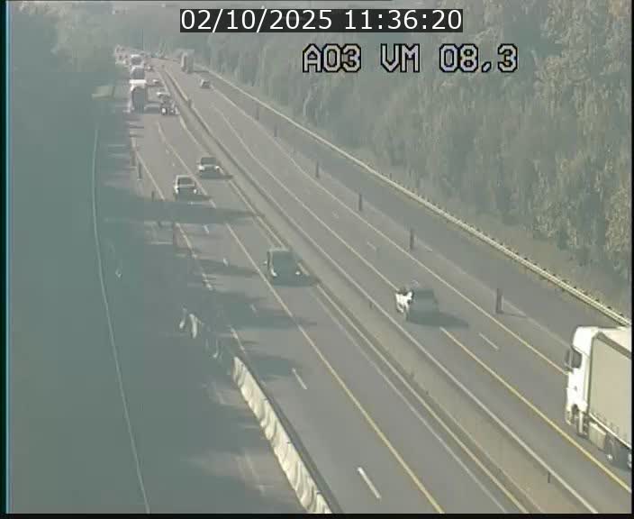 <h2>Traffic live webcam Luxembourg Bettembourg - A3 - BK 8.3 - direction France</h2>