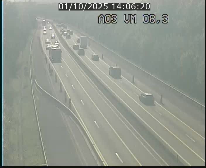 Traffic live webcam Luxembourg Bettembourg - A3 - BK 8.3 - direction France