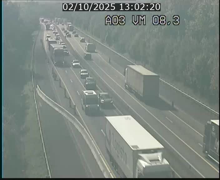 <h2>Traffic live webcam Luxembourg Bettembourg - A3 - BK 8.3 - direction France</h2>