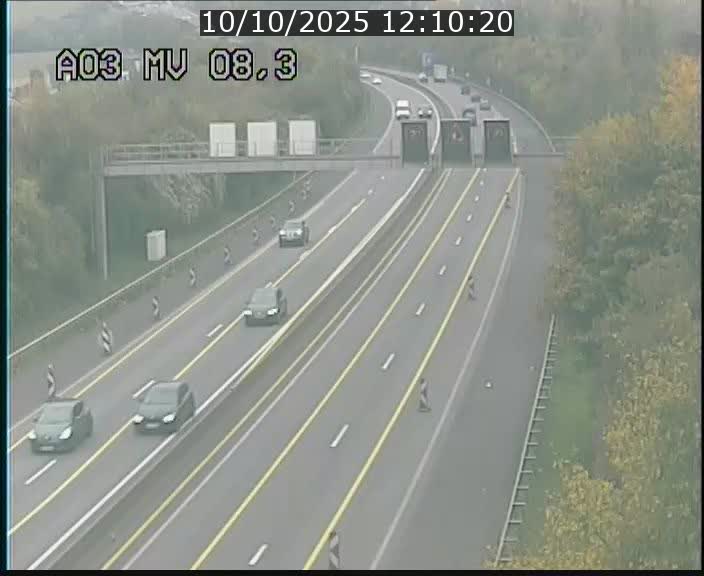 <h2>Webcam Autoroute après la Croix de Bettembourg en direction de Luxembourg sur l'A3</h2>