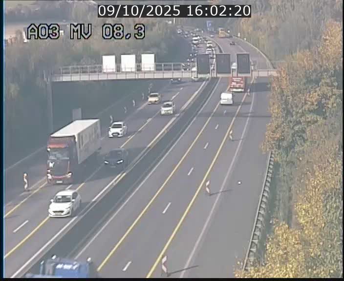 <h2>Webcam Autoroute après la Croix de Bettembourg en direction de Luxembourg sur l'A3</h2>