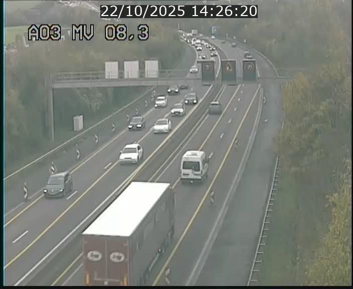 <h2>Webcam Autoroute après la Croix de Bettembourg en direction de Luxembourg sur l'A3</h2>